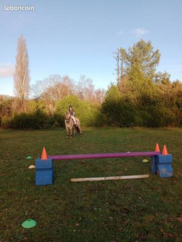 Lots obstacles CSO excellent &eacute;tat marque La G&eacute;e
