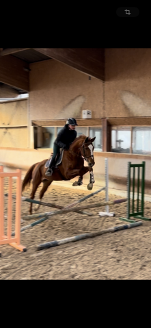 6 ans potentiel 140