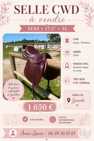 Selle CWD SE03 17,5 de 2020