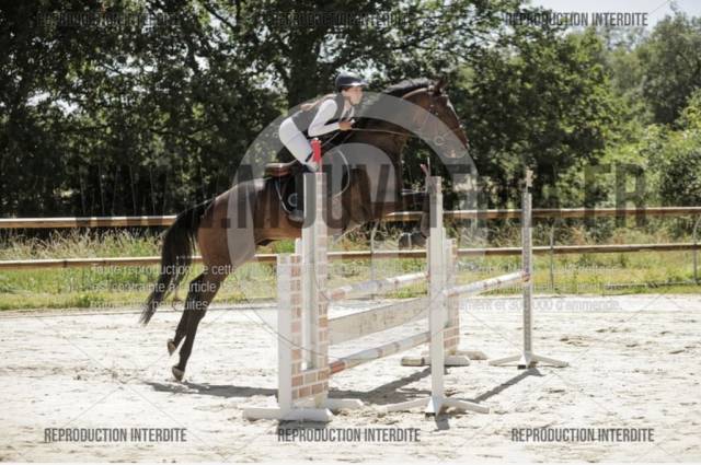 Cheval ps