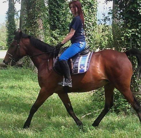 Vanda d’antifer – jument tf de 17 ans