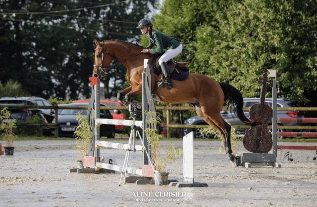 Jument cso amateur 