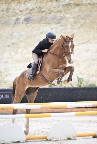 Cheval à vendre 