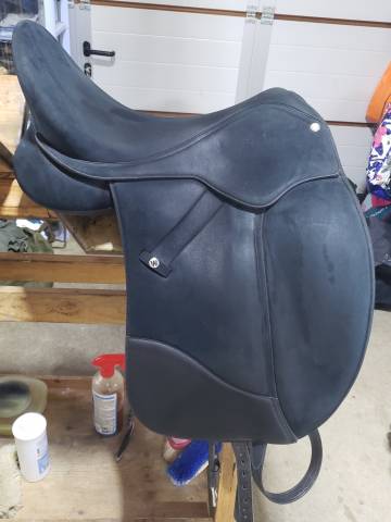 selle wintec pro isabell wert 