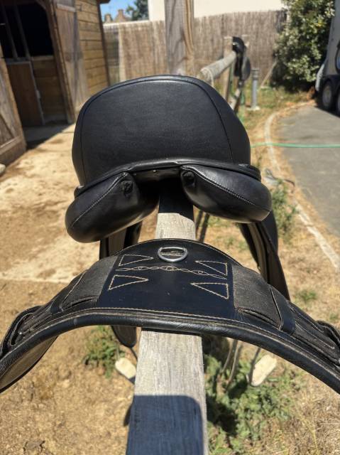 Selle Ikonic Dressage 17