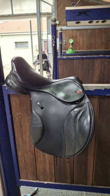 Selle 16" 