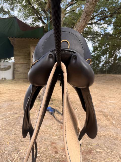 Selle Dressage Forestier