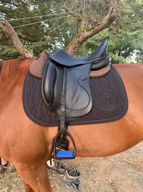 Selle Dressage Forestier