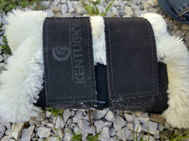 Protection dressage Kentucky 
