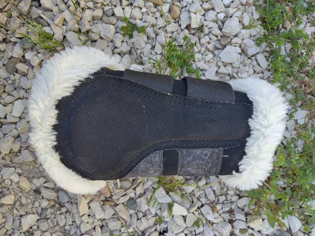 Protection dressage Kentucky 