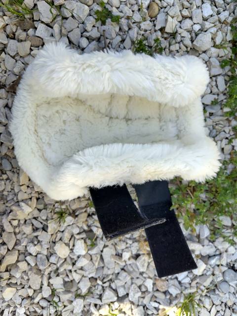 Protection dressage Kentucky 