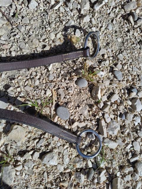Martingale &agrave; anneaux 