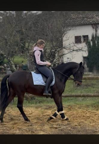 Cheval cruzado, 10 ans