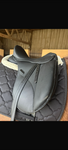 Selle de dressage / Norton