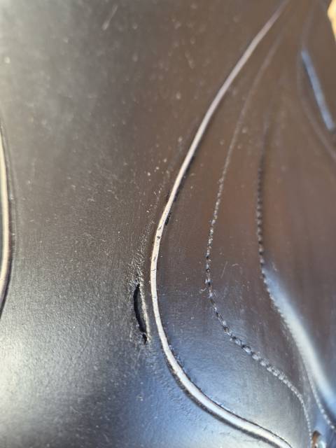 Selle CWD