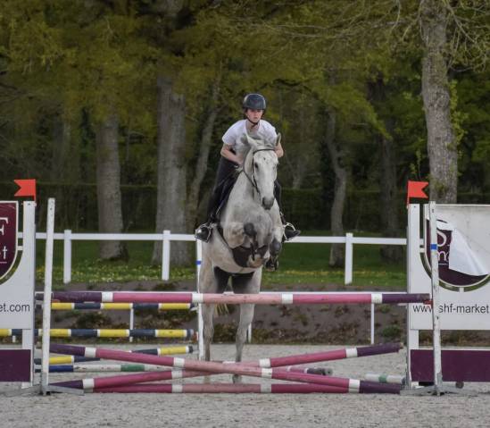 Demi pension cheval