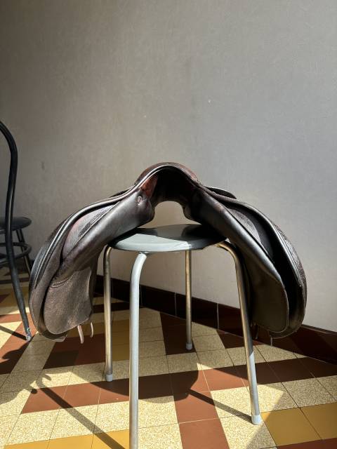 Selle Rebelle 
