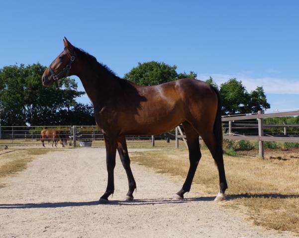 Trotteuse 1 an beau modèle 