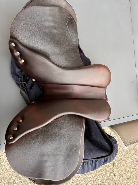 Selle Antares 2024 signature 