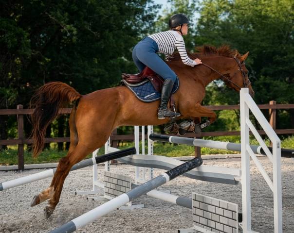 Cheval à vendre