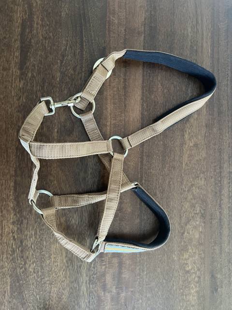 Licol Eskadron Sliding Buckle taille cheval