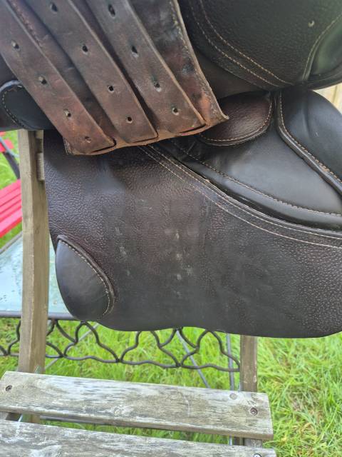 Selle mixte/CSO GBS 17.5