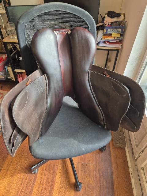 Selle mixte/CSO GBS 17.5