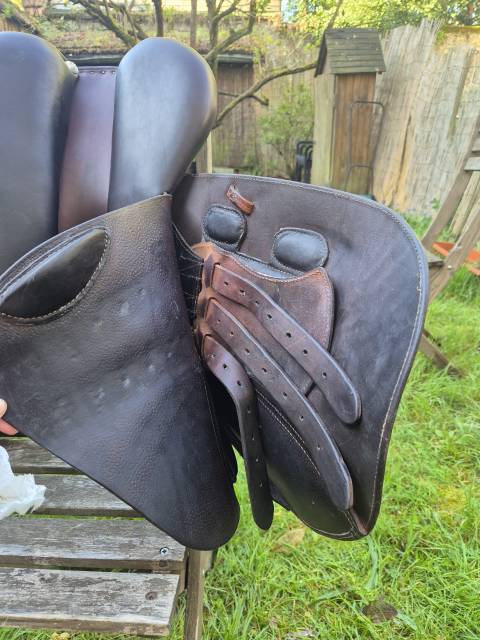 Selle mixte/CSO GBS 17.5