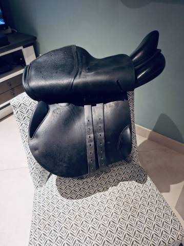 Selle ATM, sellerie Childeric 12/2020