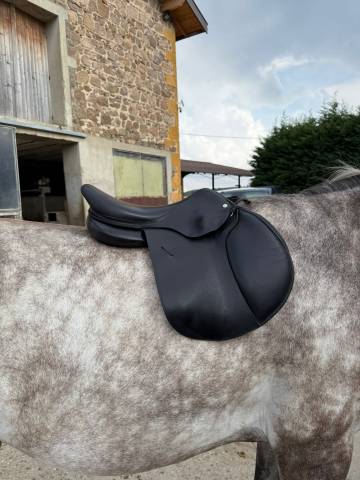 Selle ATM, sellerie Childeric 12/2020