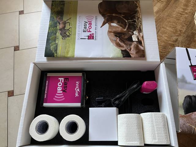 EasyFoal Indoor 