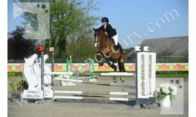 Cheval amateur