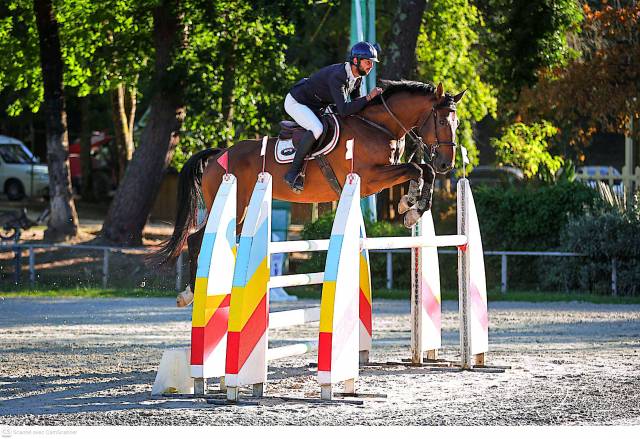 Hongre 7 ans cce/cso classé gp125