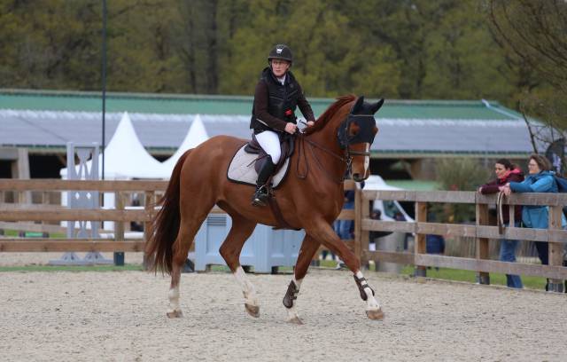 Cheval de 5ans