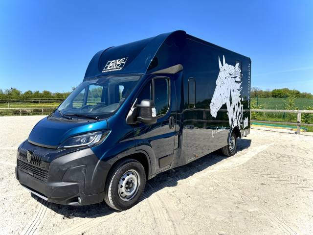 Camion chevaux vl cavalcar peugeot 180 chevaux stalles