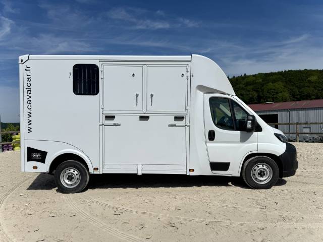 Camion chevaux vl cavalcar peugeot 180 chevaux stalles 