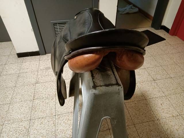 selle stubben 16,5