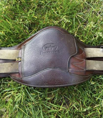 Sangle de dressage