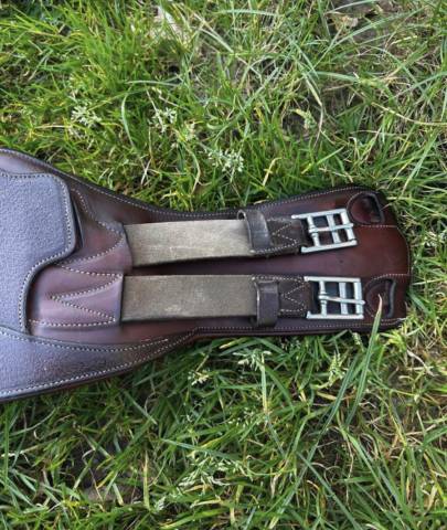 Sangle de dressage