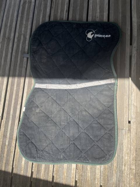 Tapis gris 