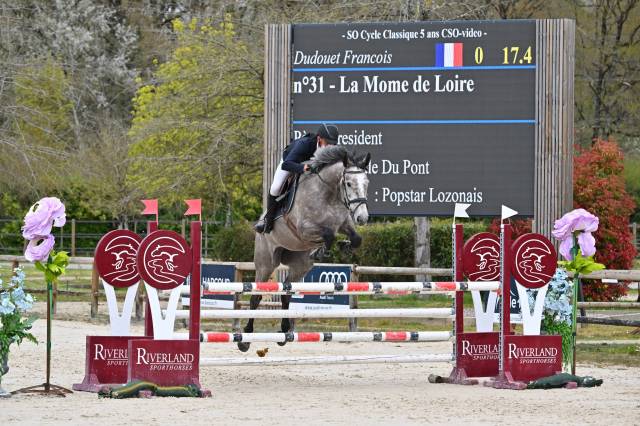 Jument 5 ans top amateur