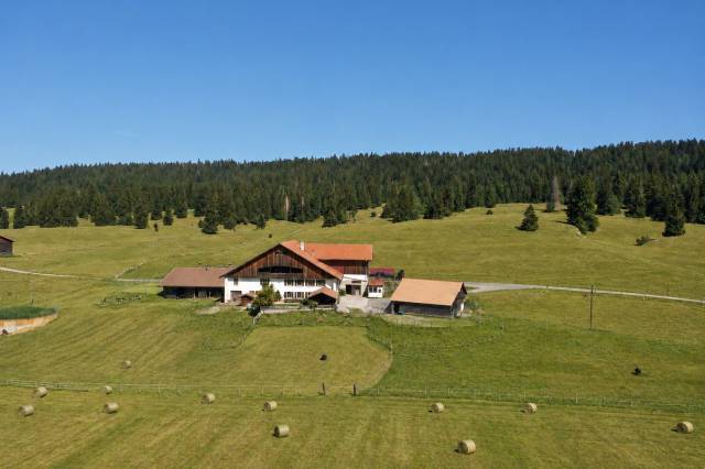Ferme équestre avec stabulations