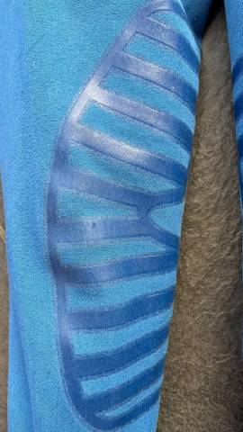 Pantalon d&rsquo;&eacute;quitation Equiplus bleu roi