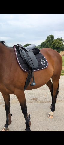 selle Fouganza 17.5