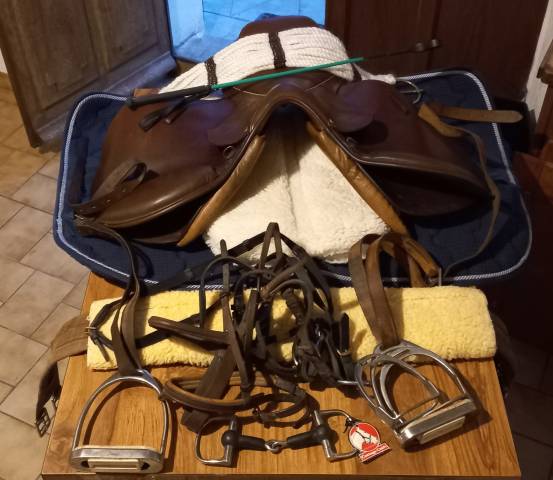 Selle occasion  terry's