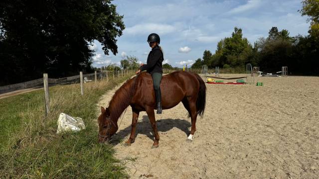 Ponette c à louer