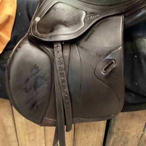 Selle octave S - amerigo