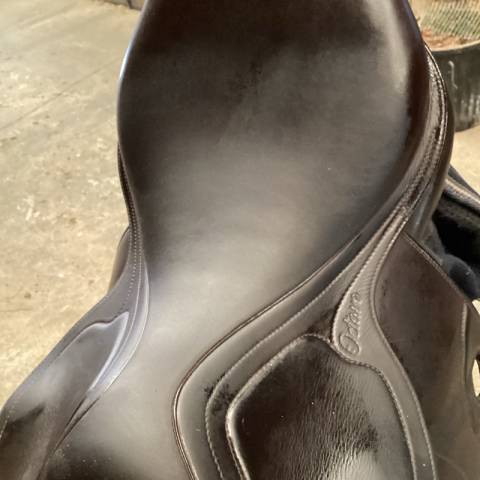 Selle octave S - amerigo