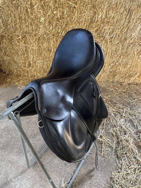 &Agrave; vendre Selle Childeric CSO 17,5&rsquo;