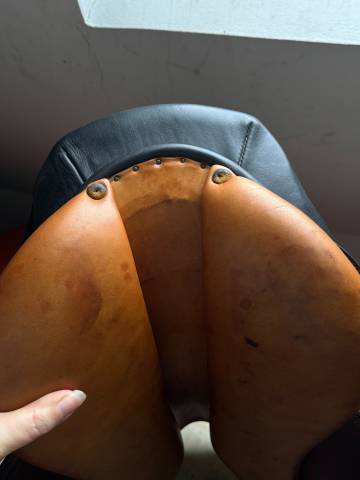 Selle dressage Forestier noire et fauve T.17,5/18P 